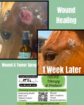 Wound & Tumor Spray - Ozonated Glycerin & Saline Solution w/DMSO